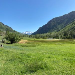 Meet your Posher, Jobeth